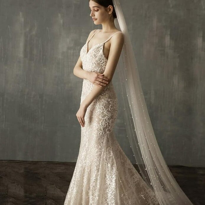 Mermaid Lace Appliqued Wedding Dress with Train